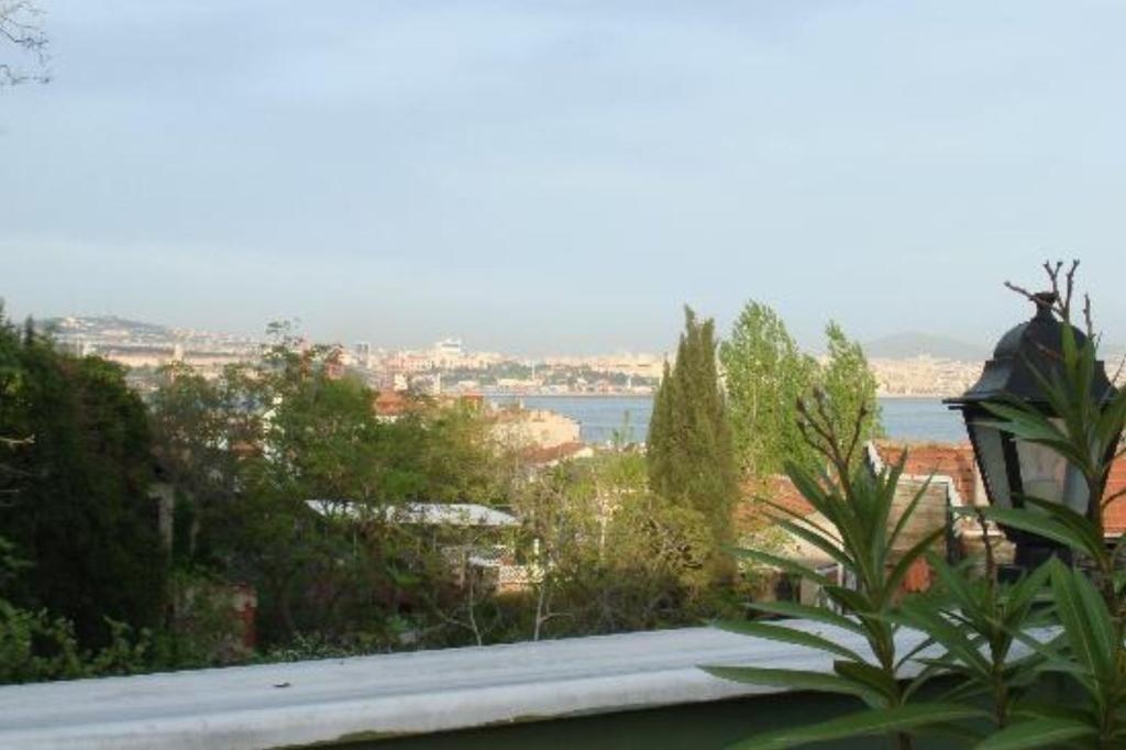 Suite Sea View