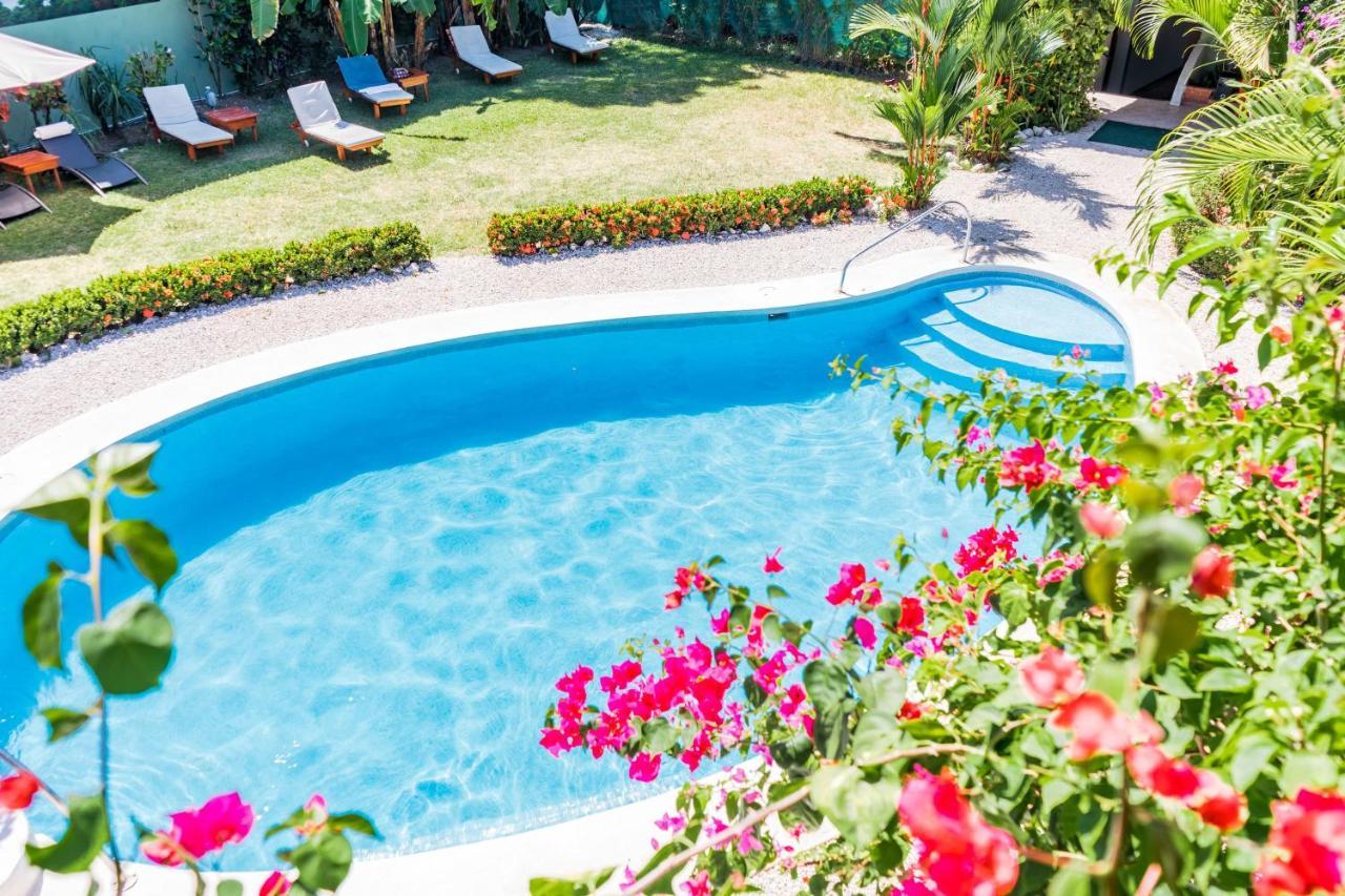 Quadruple Room with Pool View