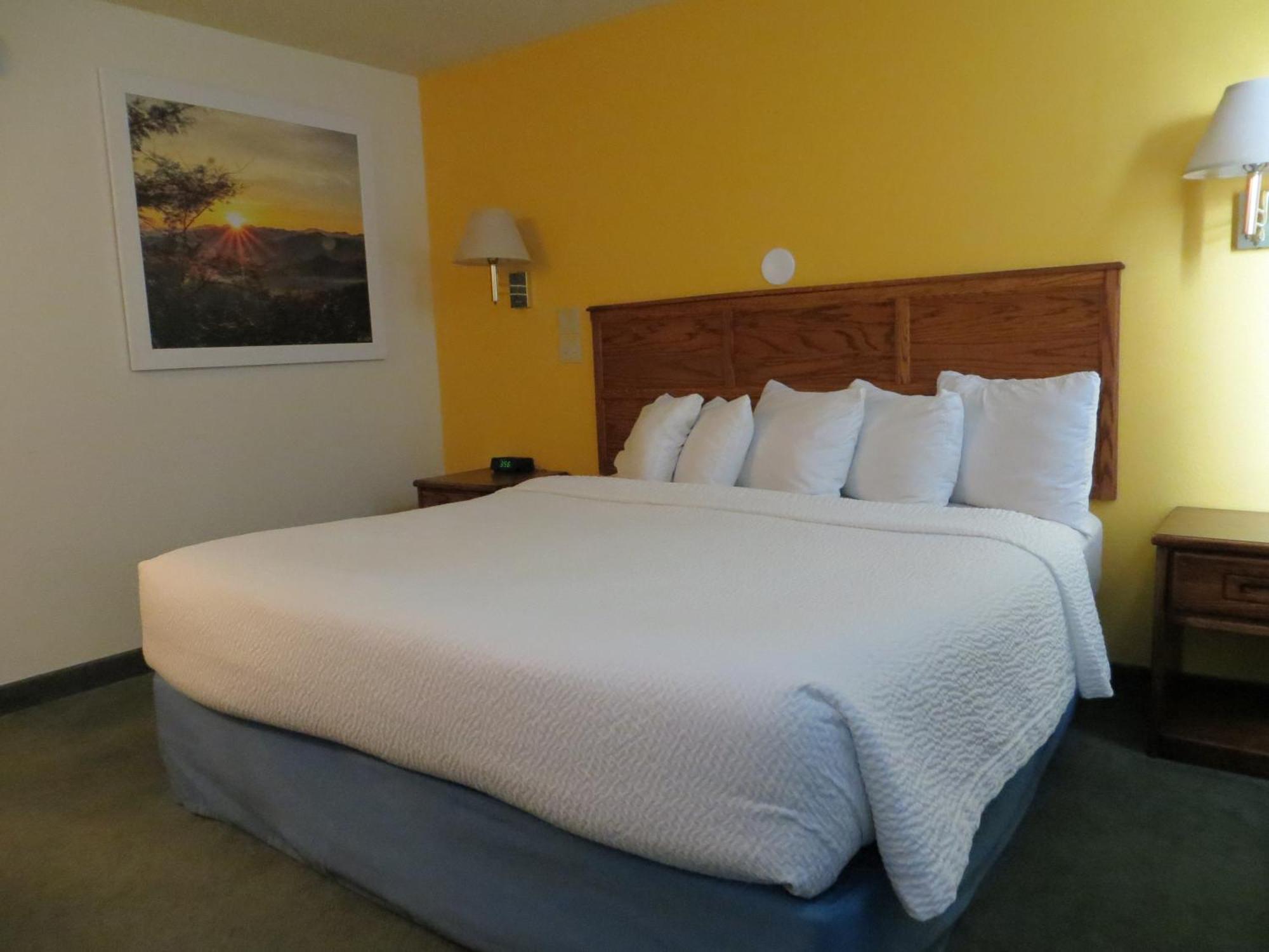 1 King Bed Mobility or Hearing Accessible Room Roll Shower