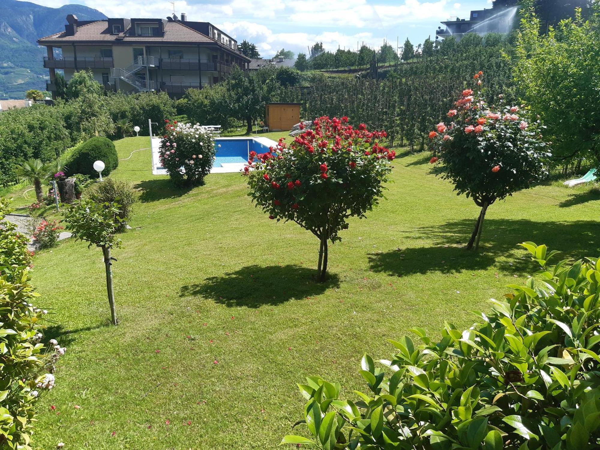 Double Room Pool View