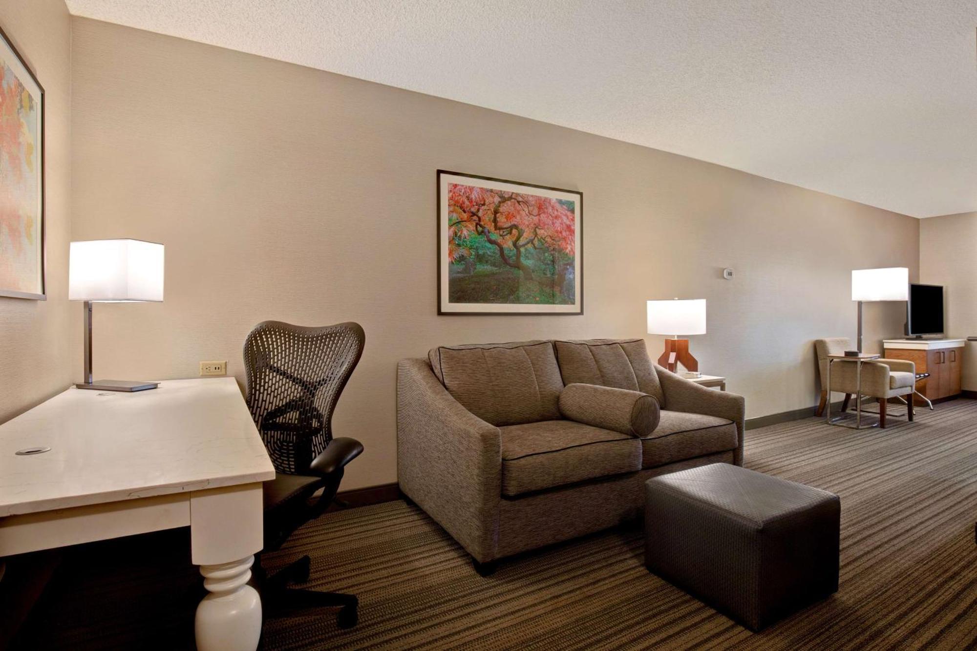 One-Bedroom King Suite Sofa Bed