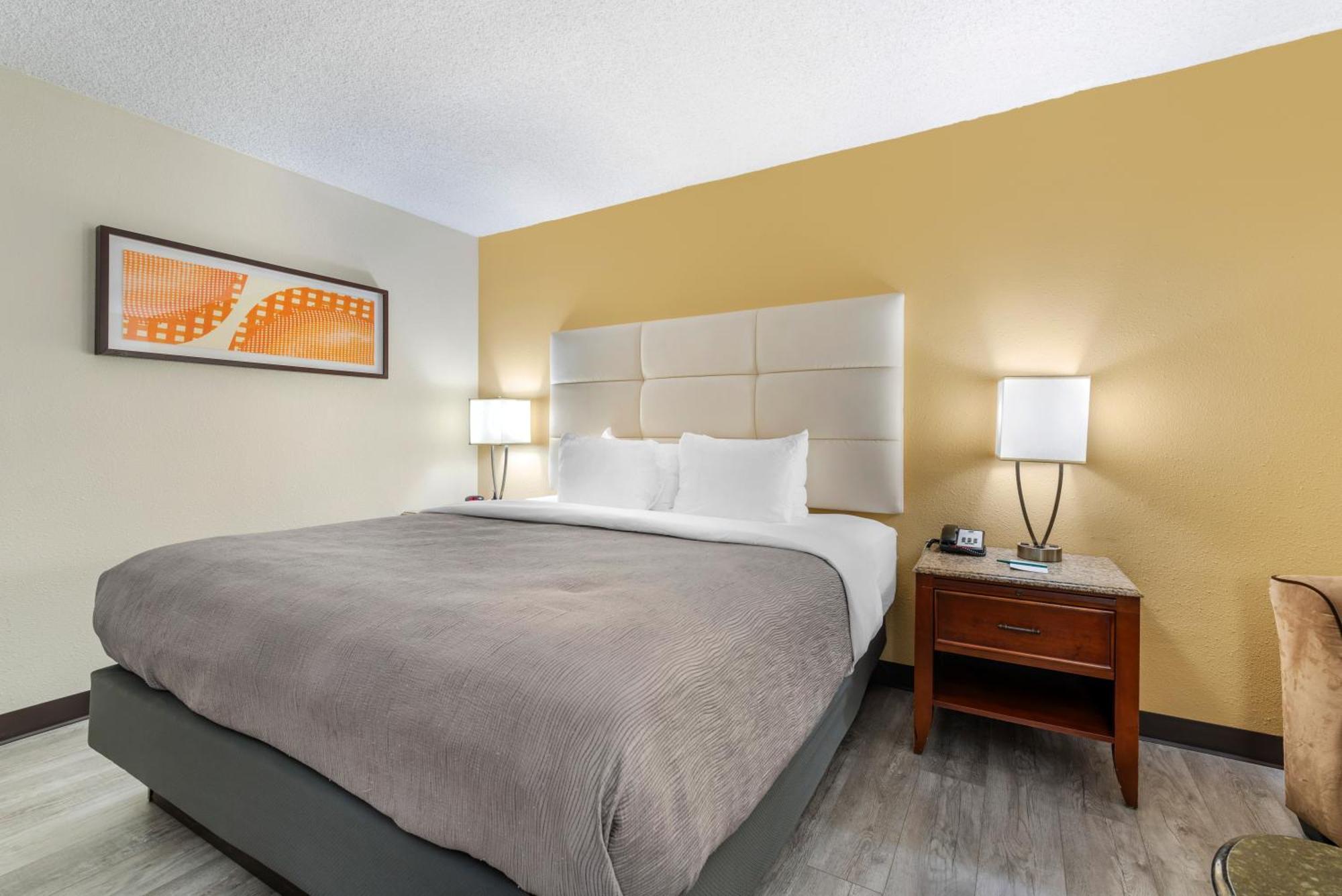 King Room Non-Smoking or Pet Friendly