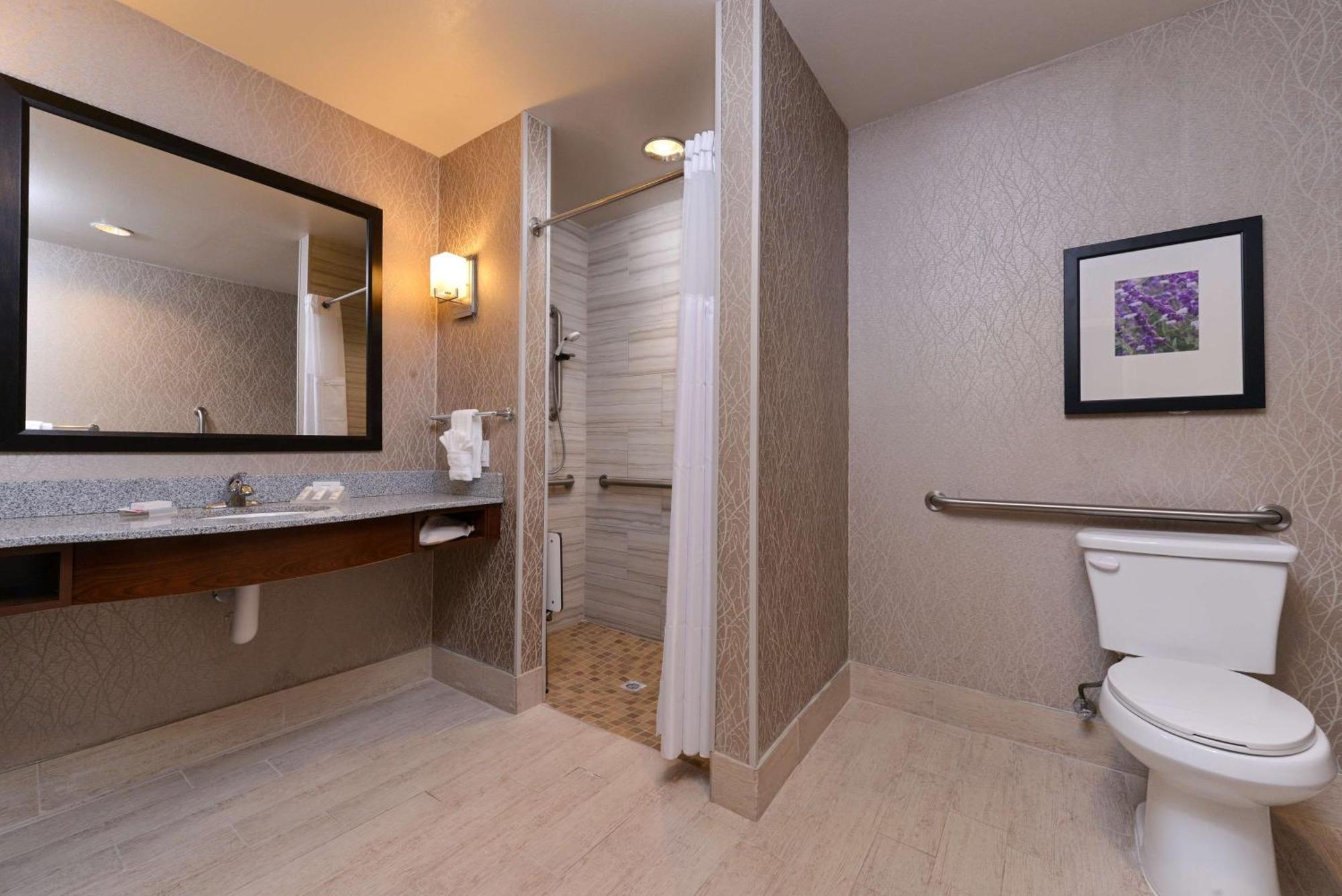 King Room Roll Shower Mobility Access