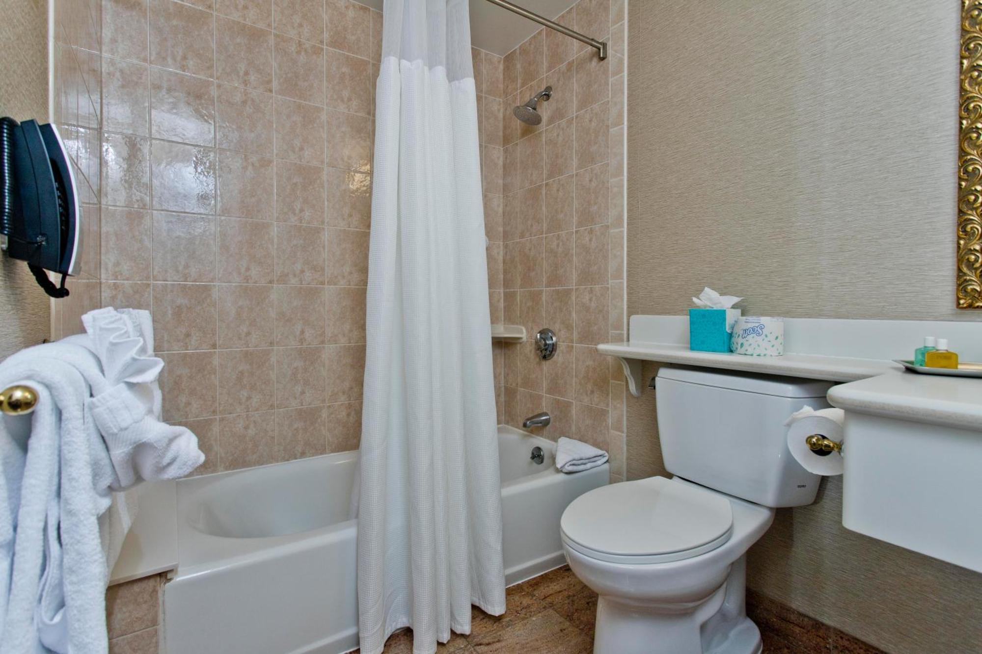 Budget Double Room