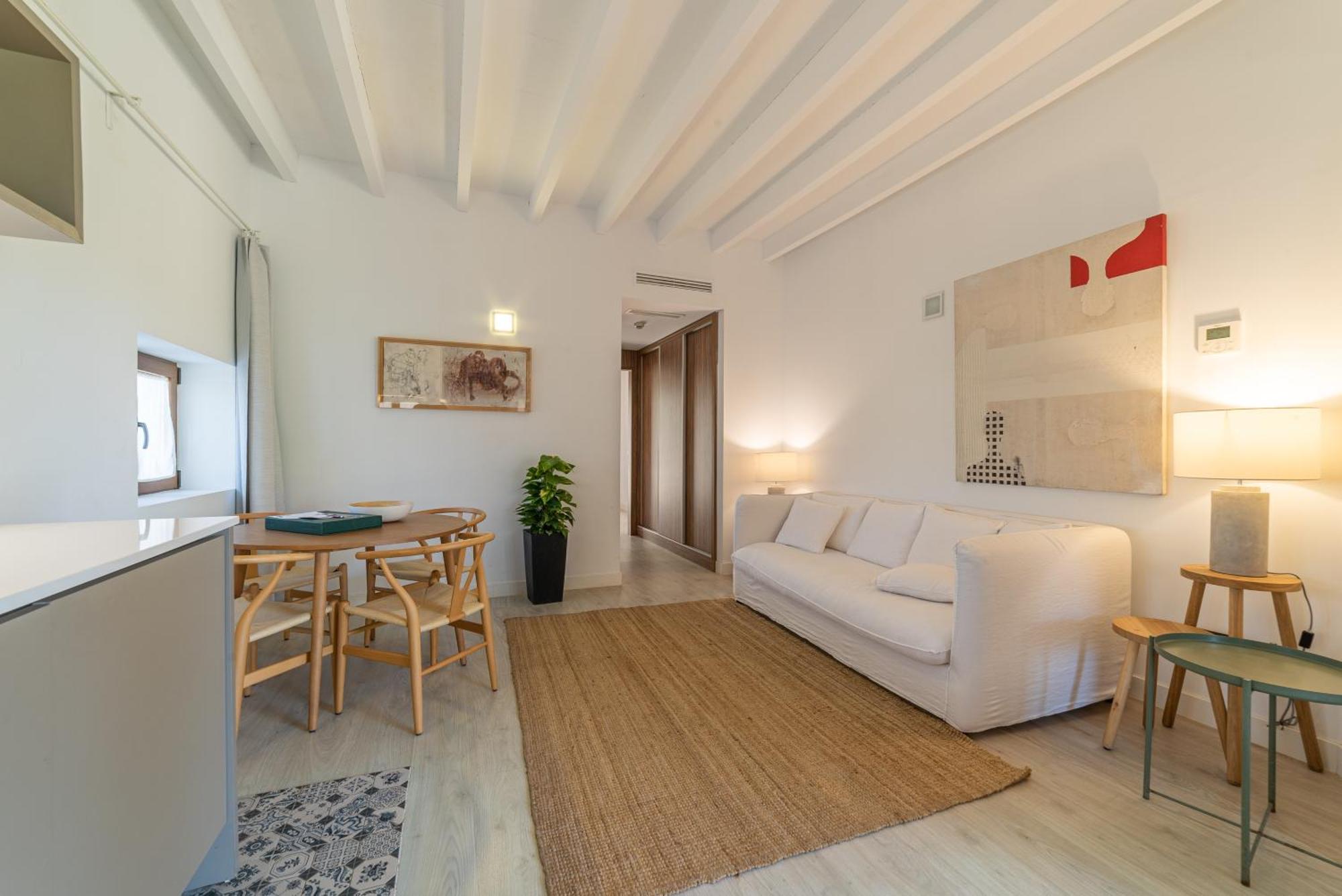 Deluxe One-Bedroom Apartment