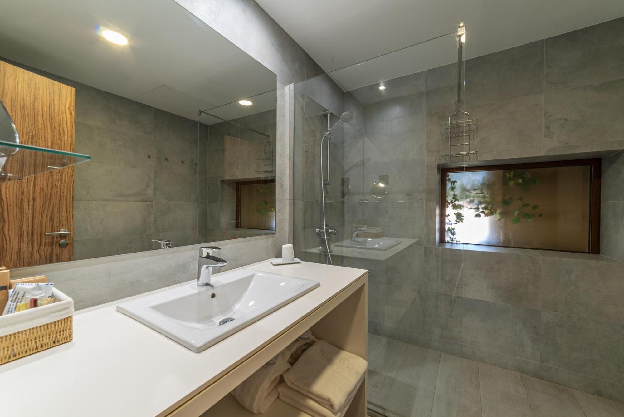Deluxe One-Bedroom Apartment