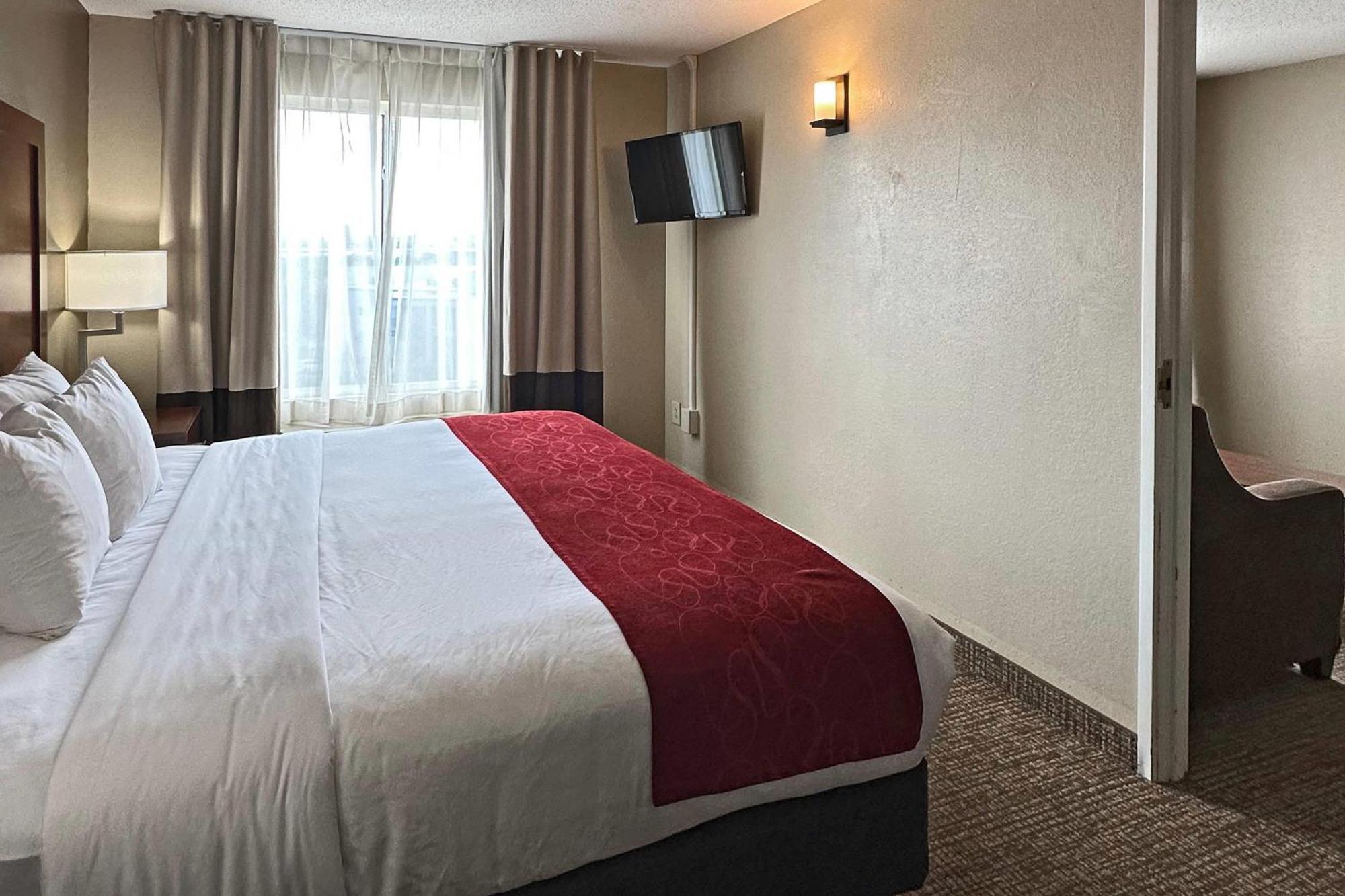 One-Bedroom King Suite