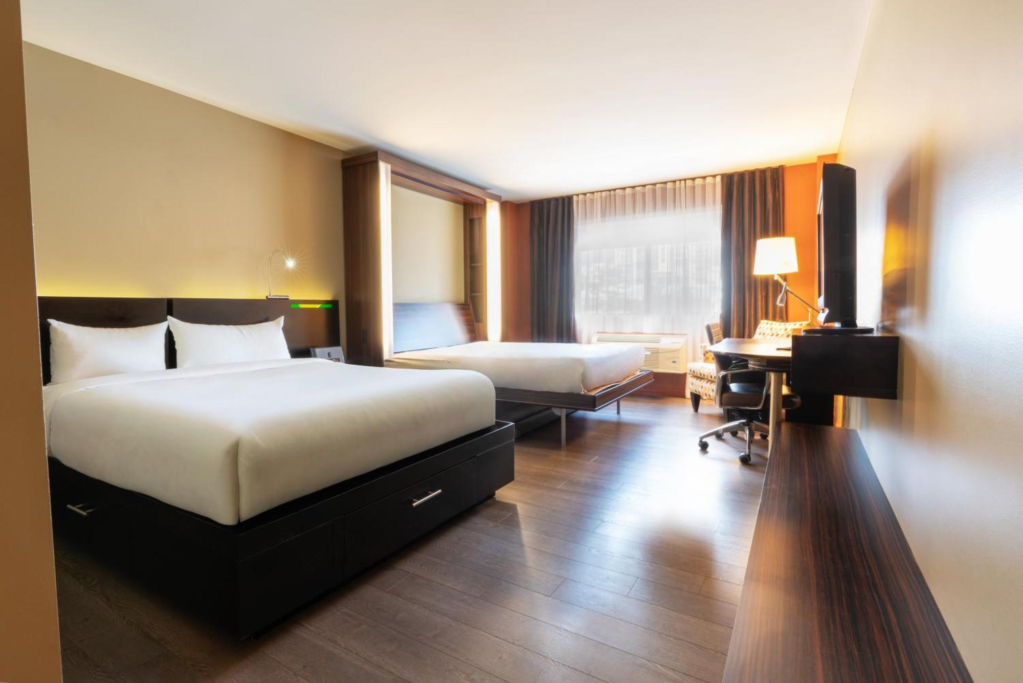 Trendy 2 queen-size beds