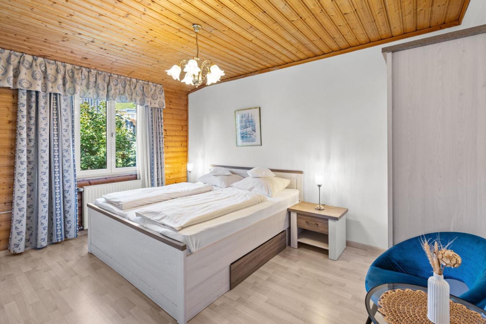 Double Room Mountain View