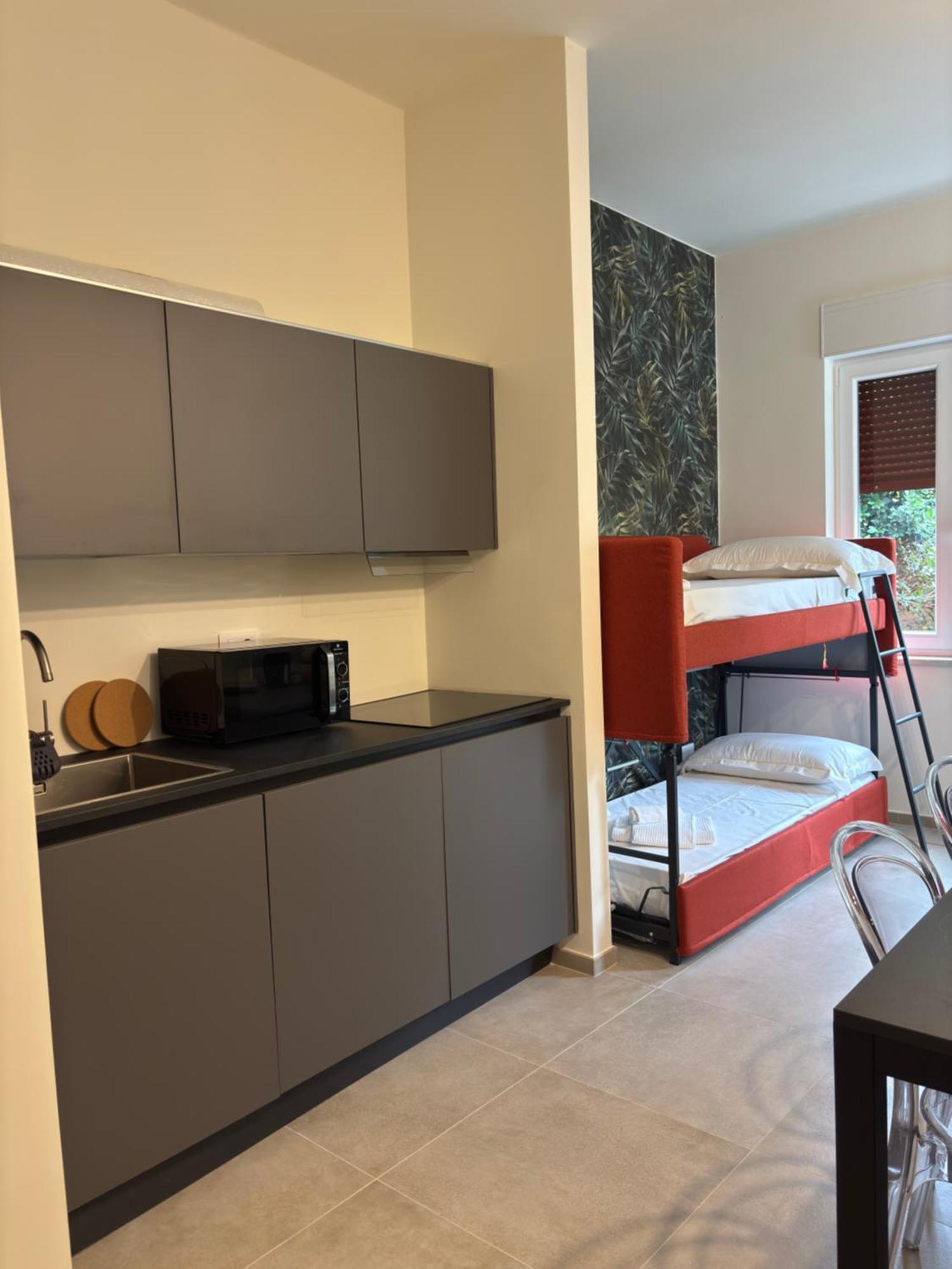 Appartement 1 Chambre Deluxe