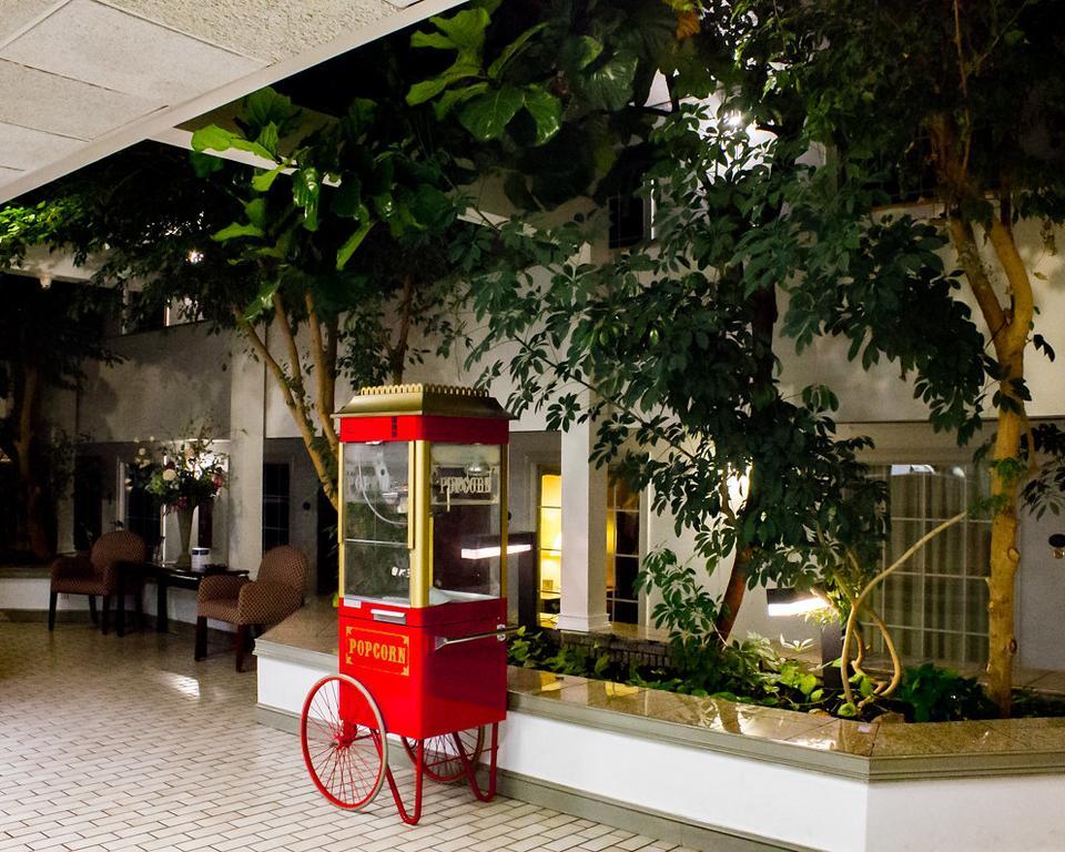 King Room Smoking