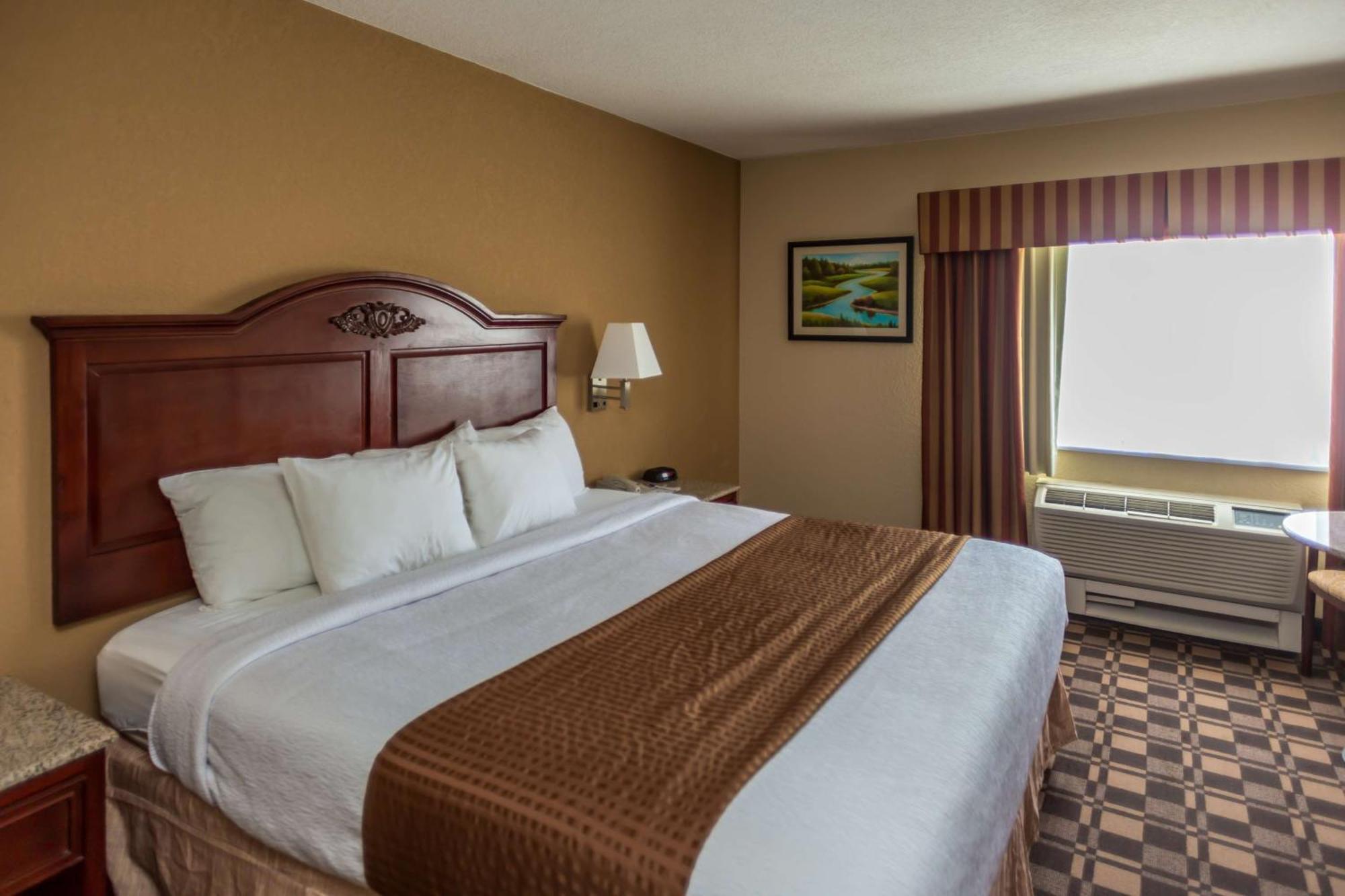 King Room Pet-Friendly or Non-Smoking Mountain Side,841531115:JPEG