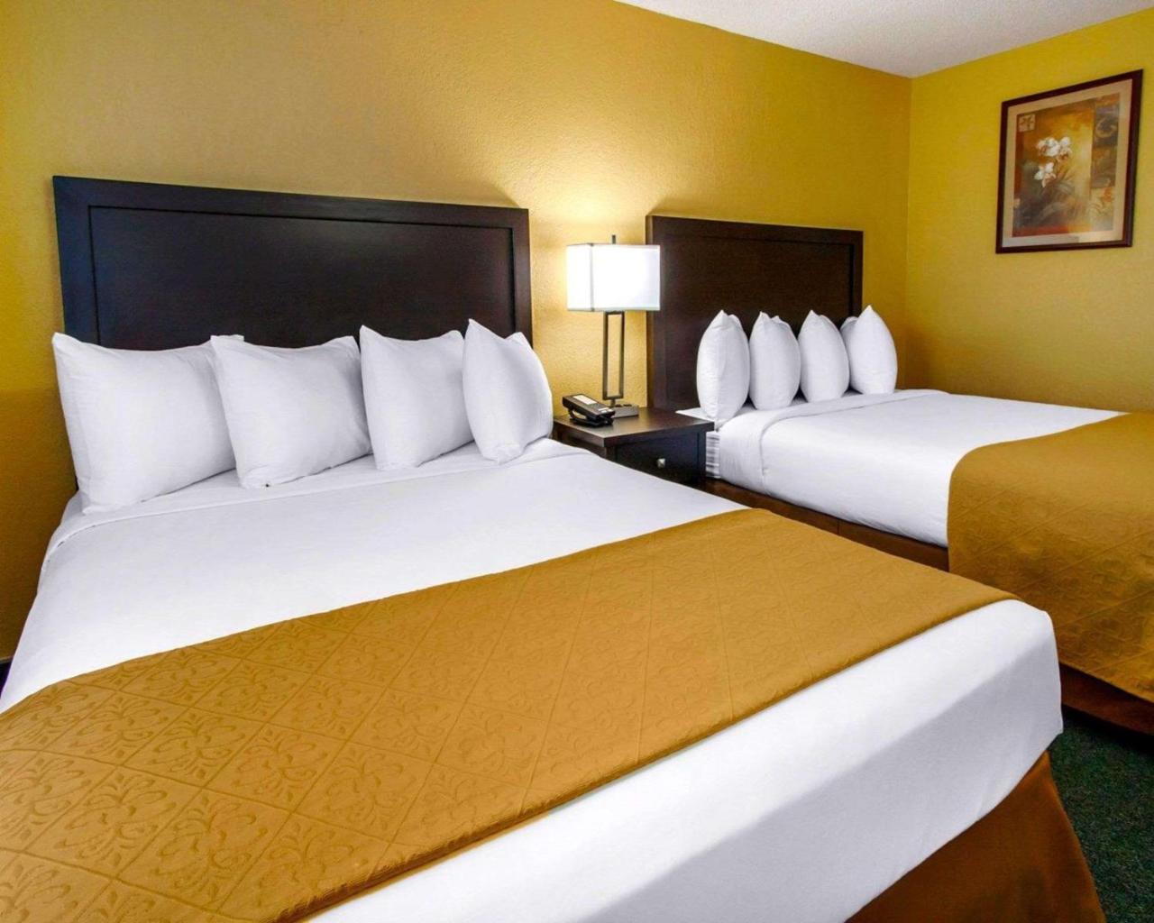Queen Room Two Queen Beds Non-Smoking or Pet Friendly