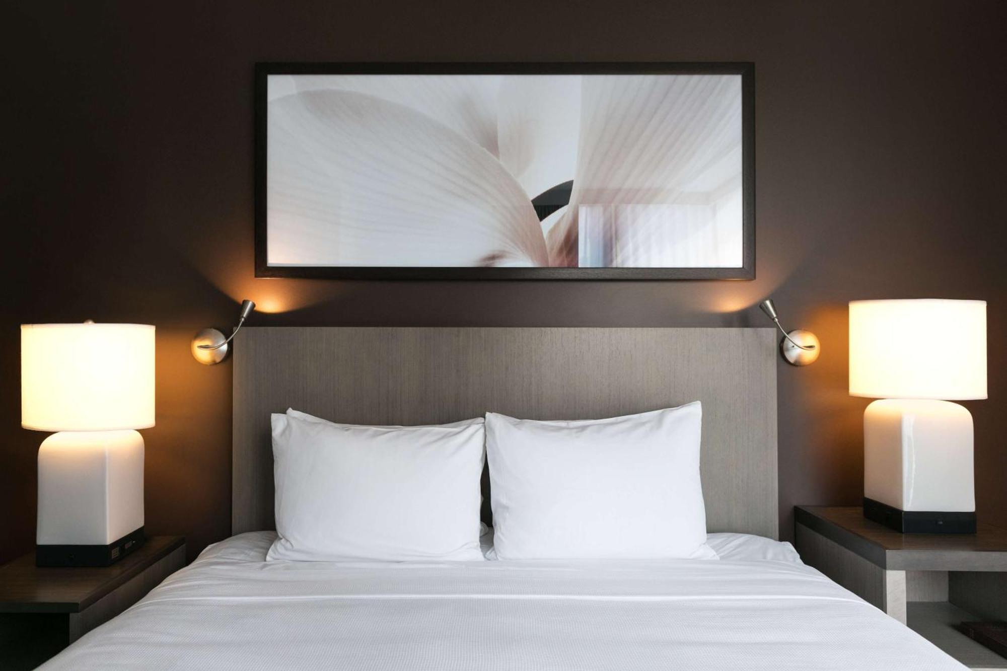 Suíte de 1 Quarto Specialty com Cama King-size, Cozinha e Chuveiro Acessível a Cadeirantes - Acesso para Hóspedes com Mobilidade Reduzida