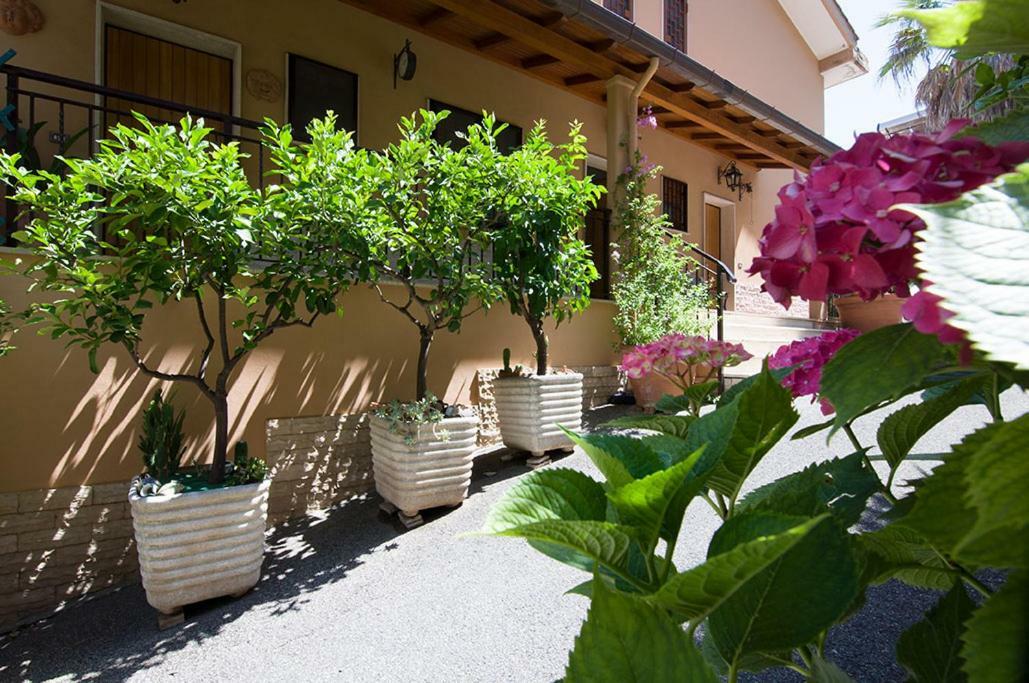 Apartment Garden View