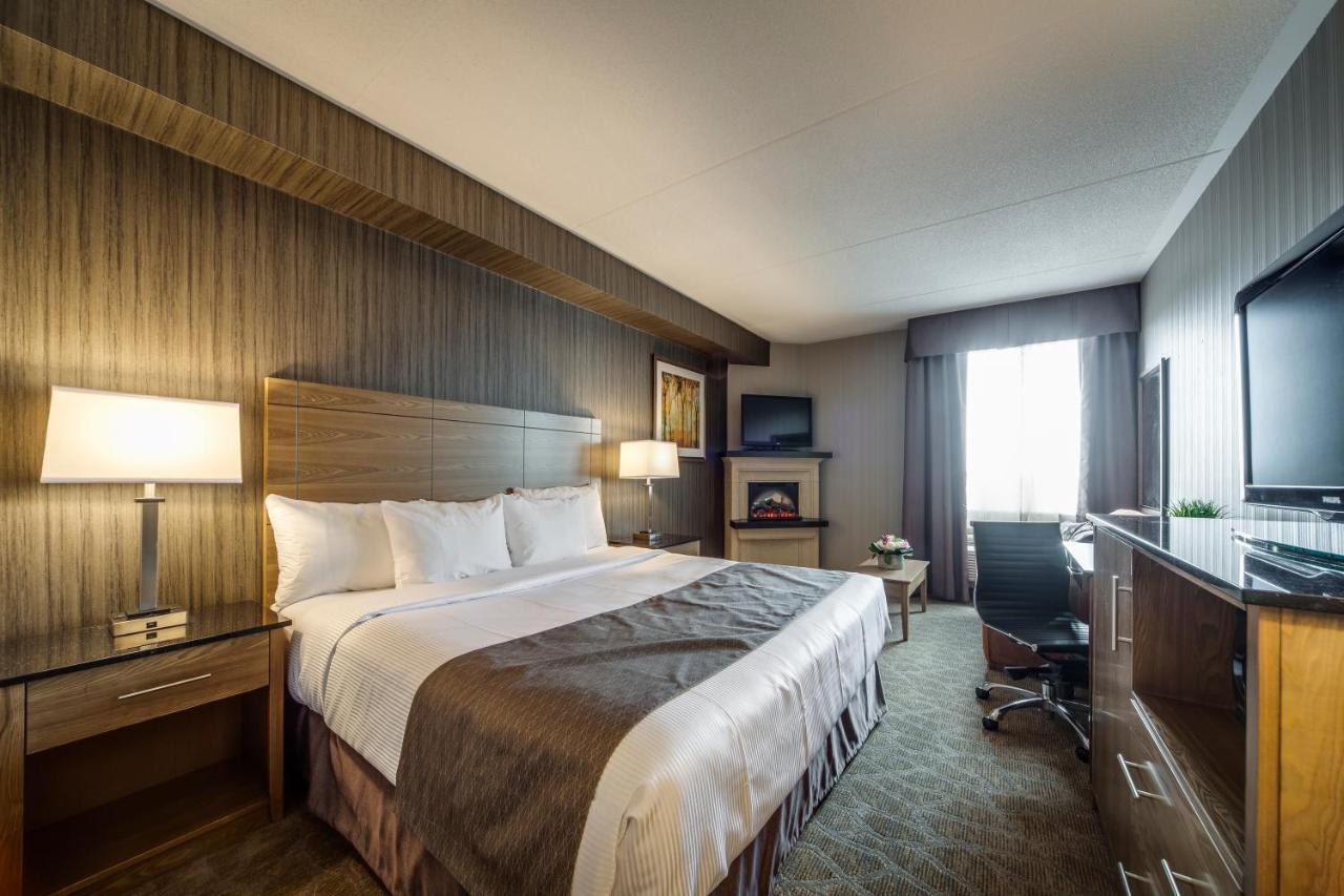 Standard room 1 king bed