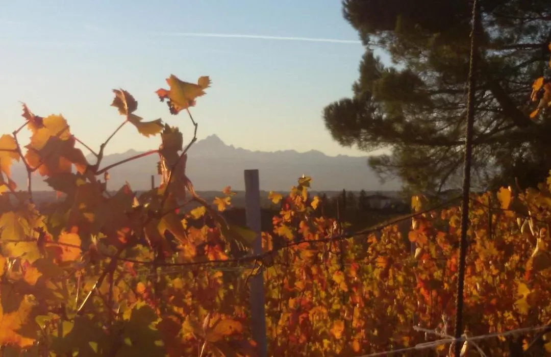 Cascina Torello-1