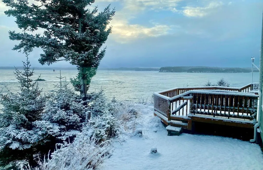 Goldilocks Bed & Breakfast-1