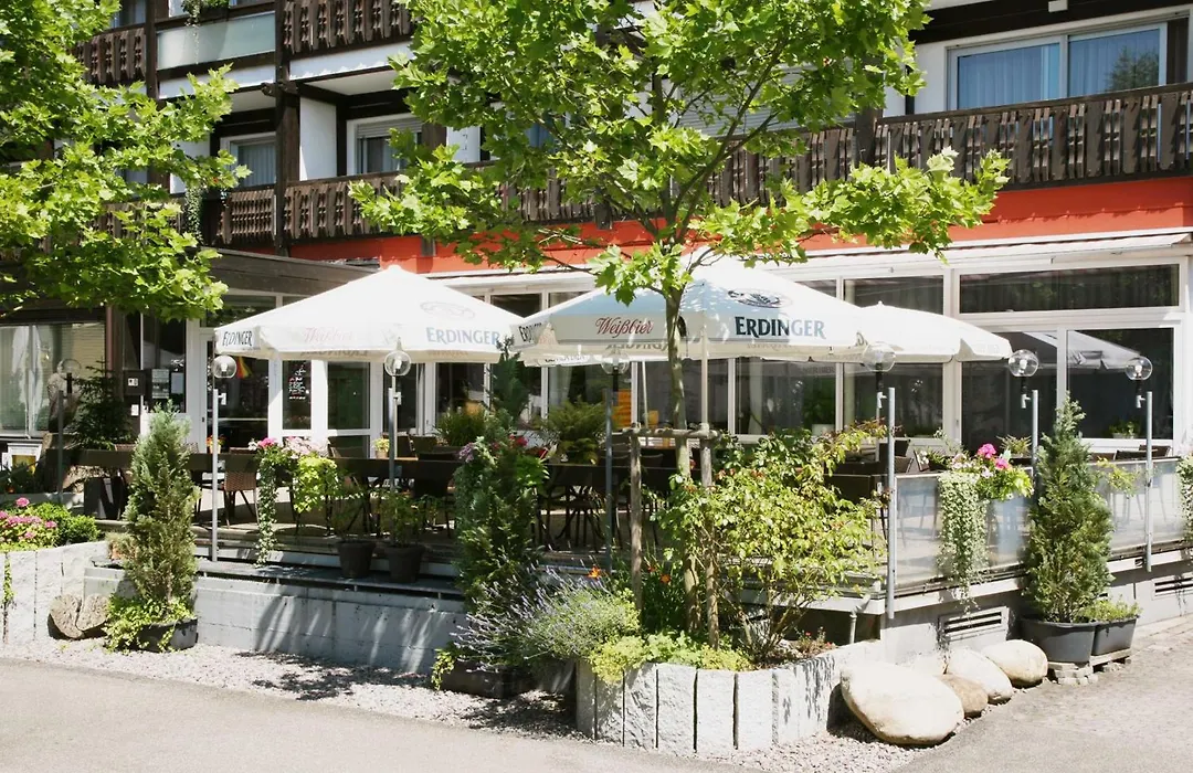 Hotel Pflug-1