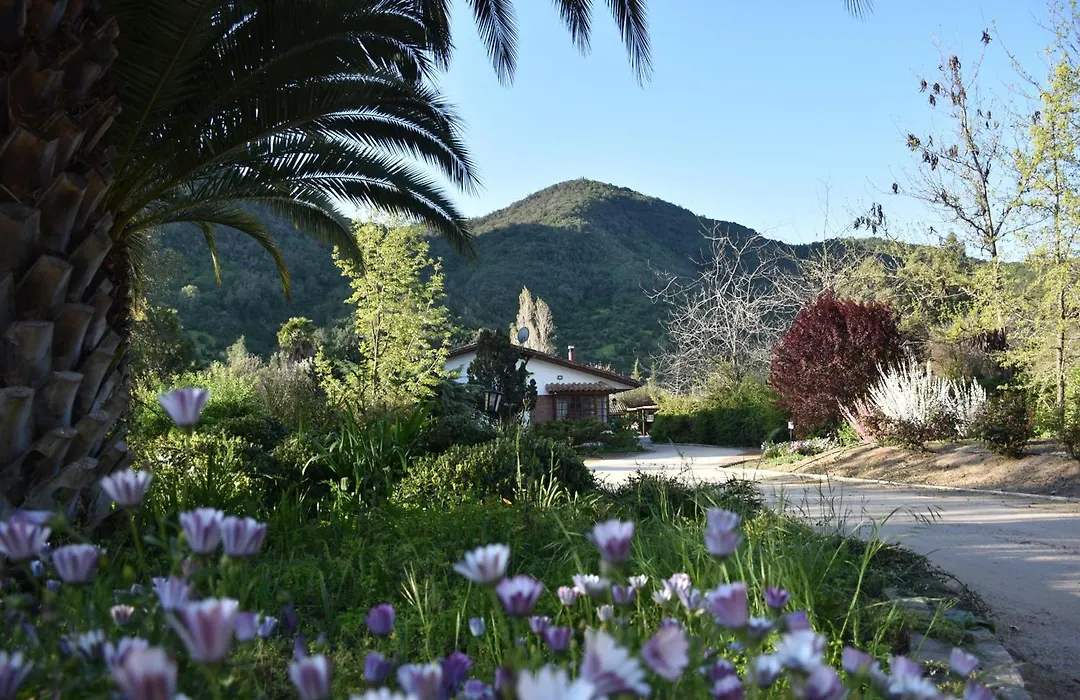 Hotel Boutique Solaz Bella Vista De Colchagua-1