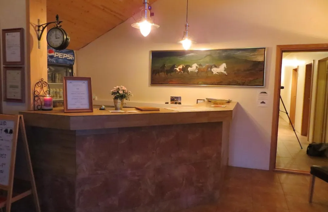 Guesthouse Vellir-1