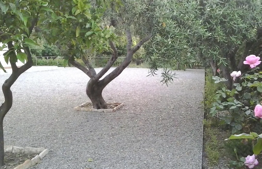 B&B Il Giardino di Zefiro-1