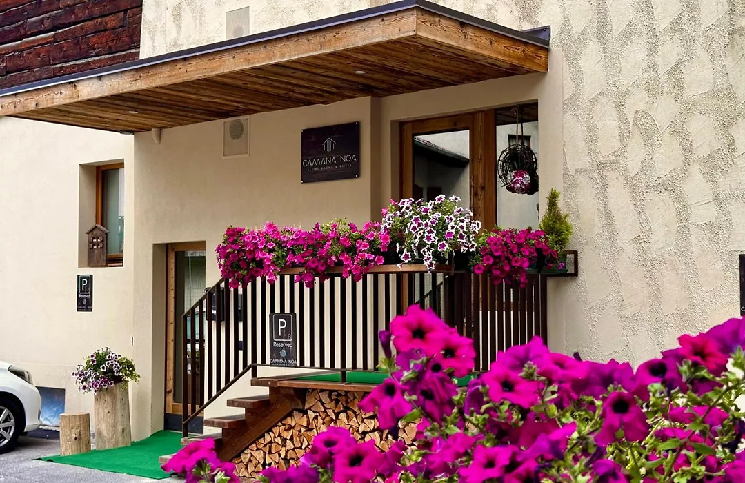 Alpine Rooms&Suites Livigno - Camana Noa --1