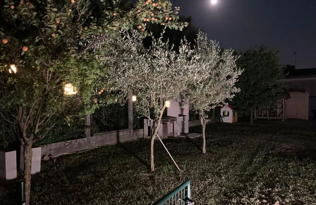 B&B Tre scimmiette-1