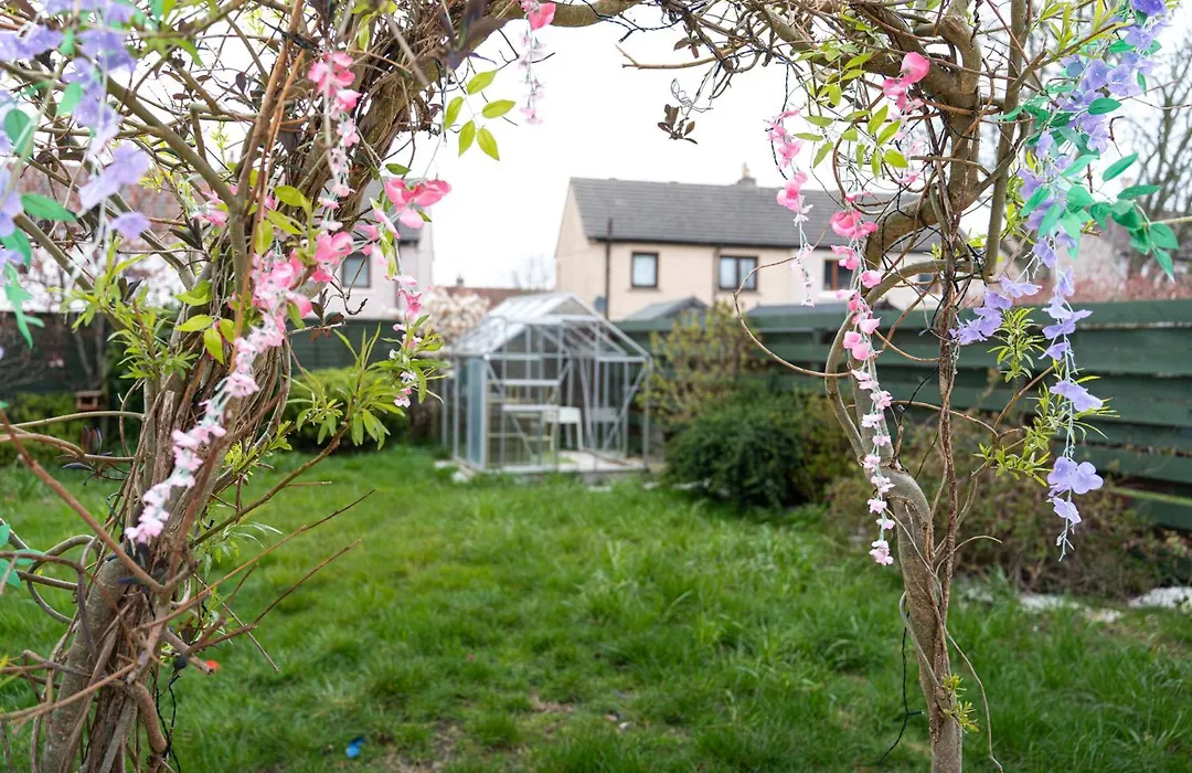 Cozy 3 Bedroom House Near Ari And City Centre, Ab16, Wifi, Parking, Netflix, Pet - Friendly-1