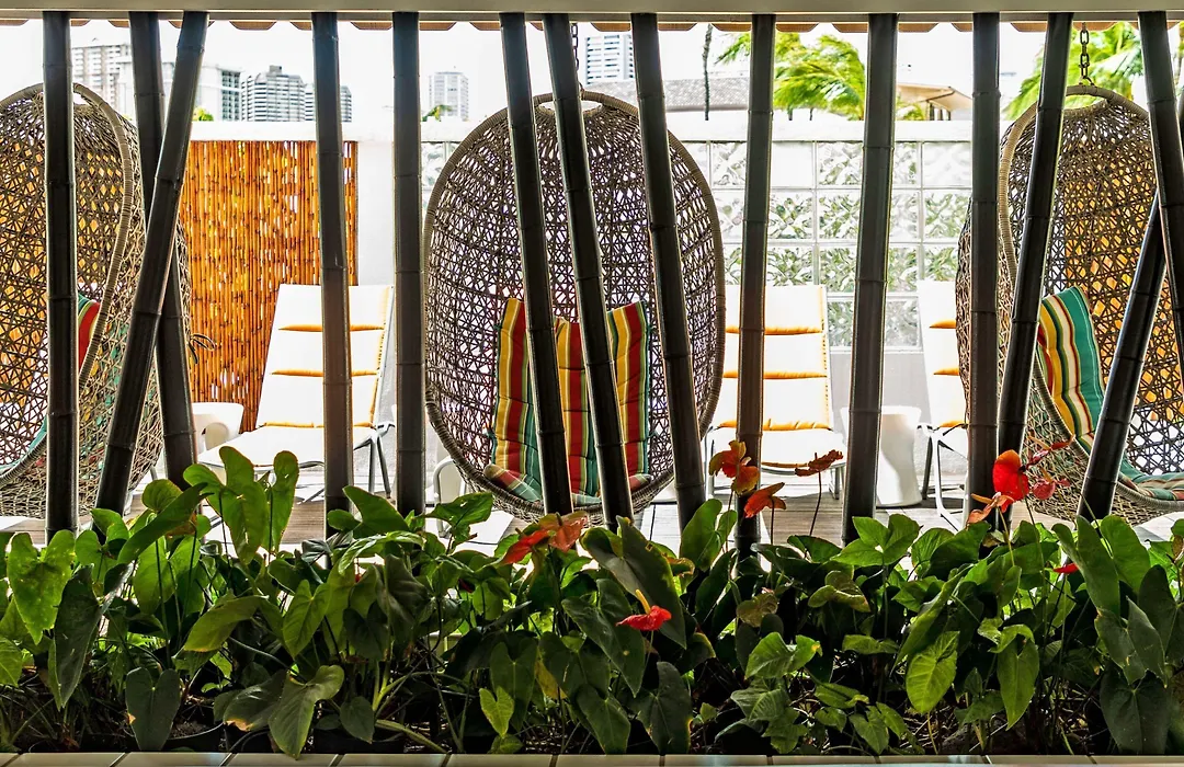 Oasis Hotel Waikiki-1