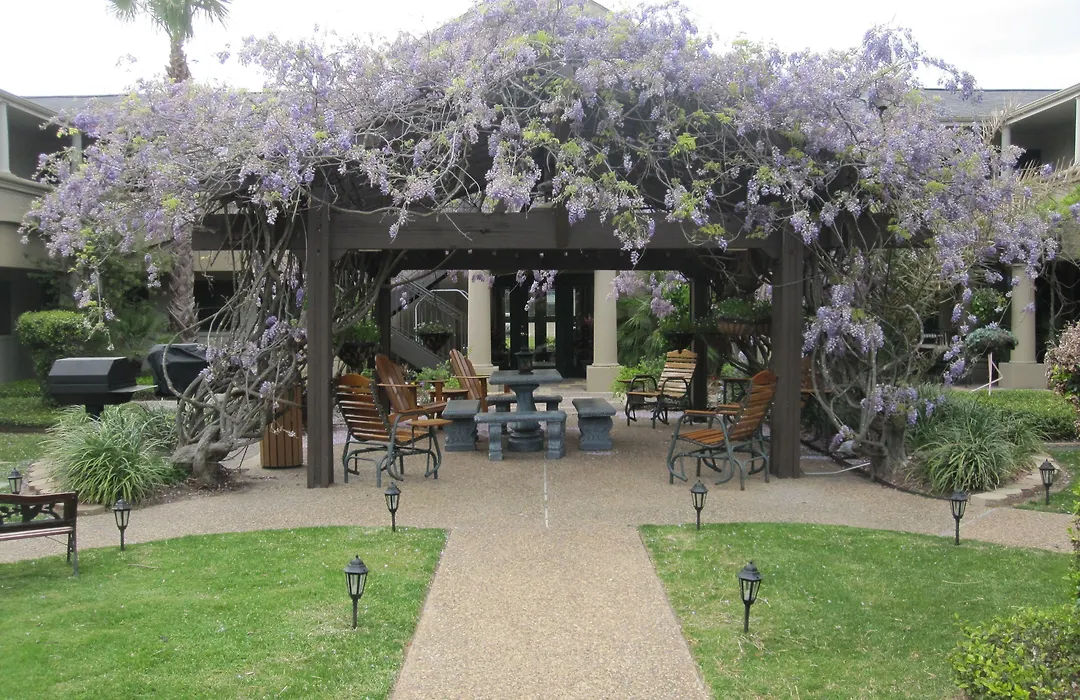 Vineyard Court Designer Suites Hotel-1