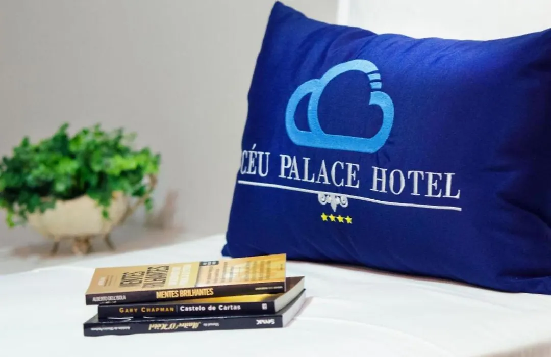 Céu Palmas Hotel-1
