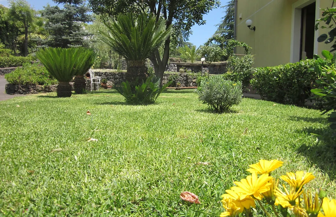 B&B Boutique Di Charme "Etna-Relax-Natura"-1