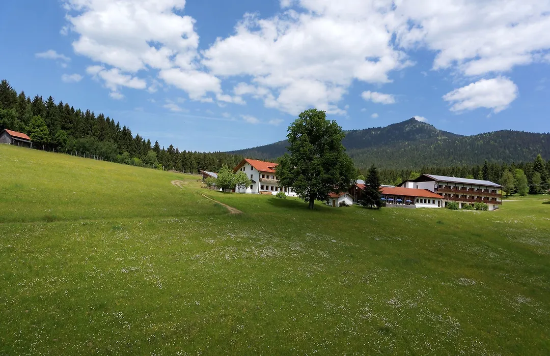 Osserhotel Garni-1