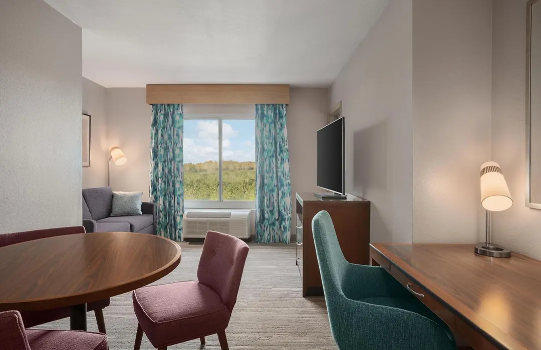 Hilton Garden Inn Tampa North-1