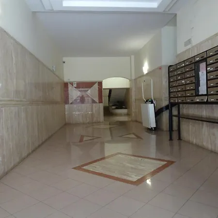 B&B Dodo-2