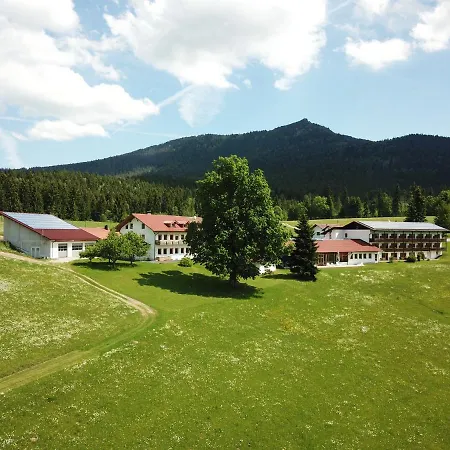 Osserhotel Garni-3