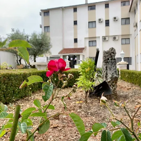 Hotel Mateus-3