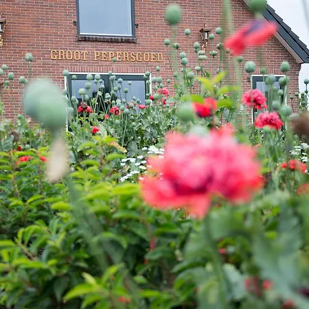 B&B Groot Pepersgoed-3