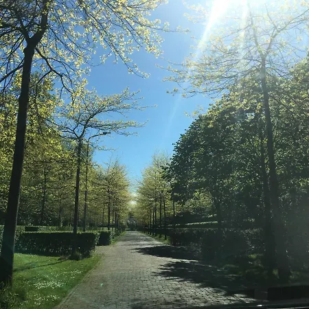 De Zilvermeeuw-3