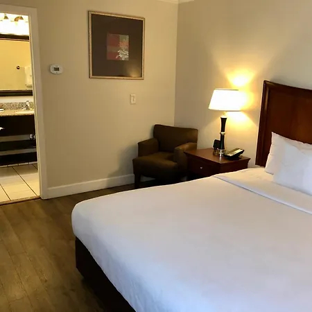 Blu Pacific Hotel-2