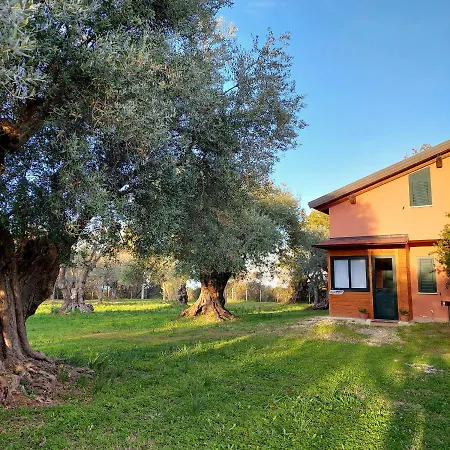 La Piana degli Ulivi-2