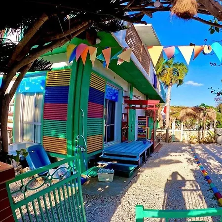 猫のいる宿happy Island Miyako-Catfriendlyguesthouse-2