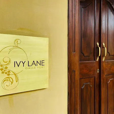 Ivy Lane Galle Fort-3