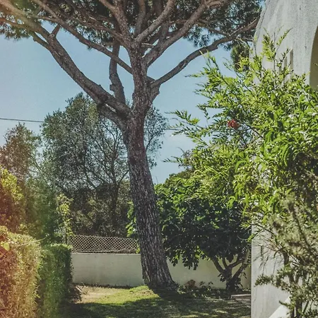 Pine House - Faro Airport, Beach And City Center-2
