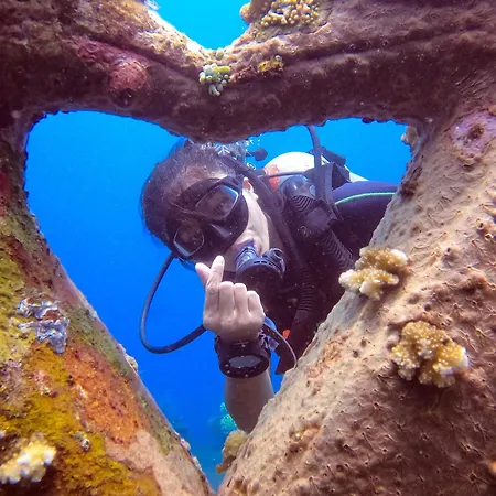 Kura Kura Divers Lodge-2