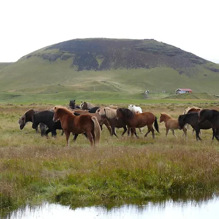 Guesthouse Vellir-3
