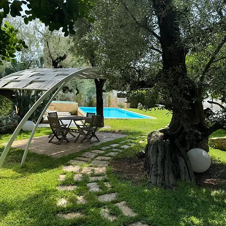 Palms Suite-2