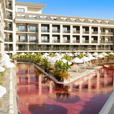 The X Belek-2