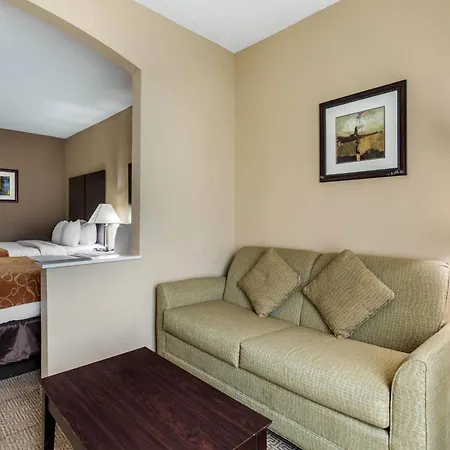 Comfort Suites The Colony - Plano West-3